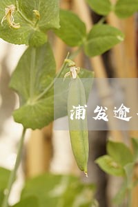 浦发逾期怎么处理 浦发逾期怎么处理
