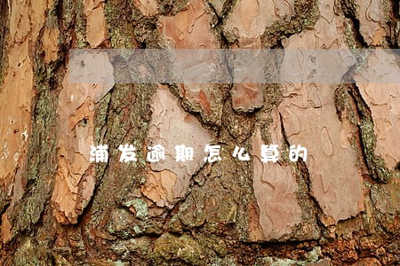 浦发逾期怎么算的 浦发逾期怎么算的