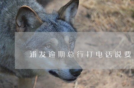 浦发逾期总行打电话说要封卡 浦发逾期总行打电话说要封卡