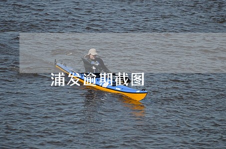 浦发逾期截图