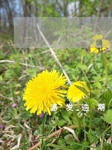 浦发逾期房贷 浦发逾期房贷