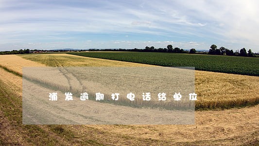 浦发逾期打电话给单位 浦发逾期打电话给单位