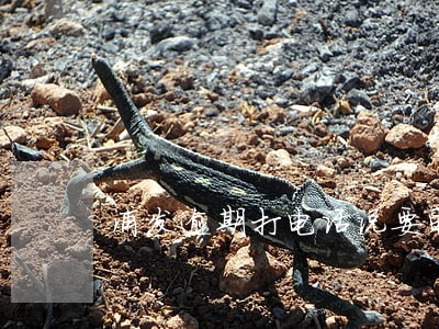浦发逾期打电话说要电话号能给吗 浦发逾期打电话说要电话号能给吗