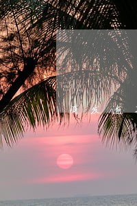 浦发逾期无法协商招商 浦发逾期无法协商招商