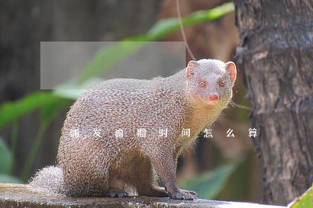 浦发逾期时间怎么算 浦发逾期时间怎么算