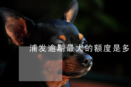 浦发逾期最大的额度是多少 浦发逾期最大的额度是多少