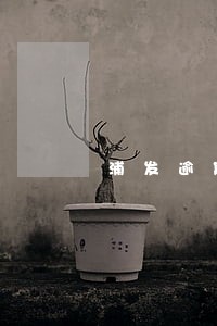 浦发逾期未还最低利息怎么算