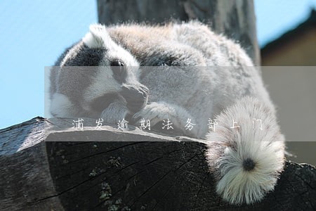 浦发逾期法务部上门 浦发逾期法务部上门