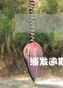 浦发逾期滞纳金利息能否减免