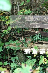 浦发逾期电话没完
