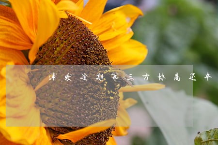 浦发逾期第三方协商还本金