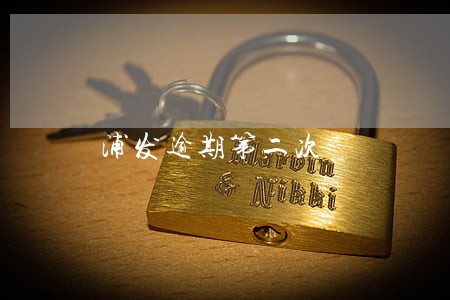 浦发逾期第二次