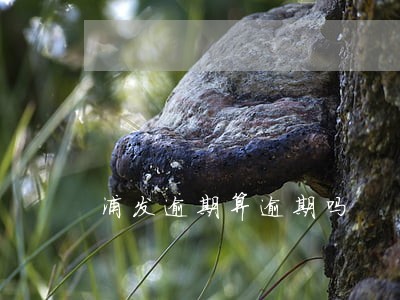 浦发逾期算逾期吗