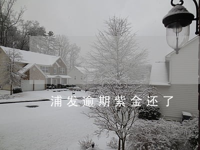 浦发逾期紫金还了