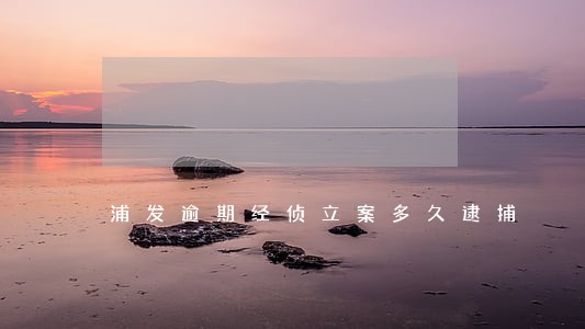 浦发逾期经侦立案多久逮捕