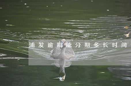 浦发逾期能分期多长时间