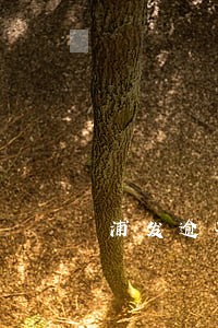 浦发逾期能慢慢还吗