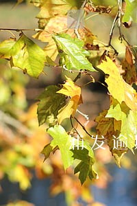 浦发逾期致电单位