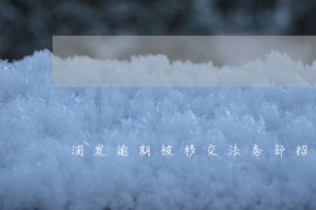 浦发逾期被移交法务部招商