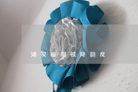 浦发逾期被降额度