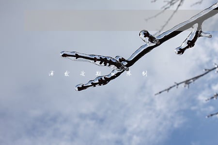浦发逾期被限制