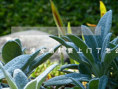 浦发逾期要上门了怎么协商
