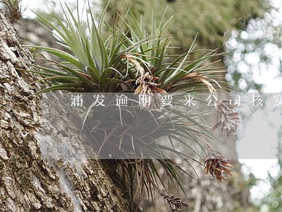 浦发逾期要来公司核实