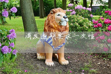浦发逾期要求一次性