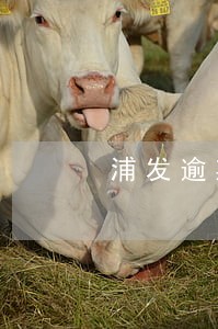浦发逾期要求全额还款会降额吗