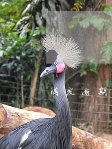 浦发逾期计算器 浦发逾期计算器