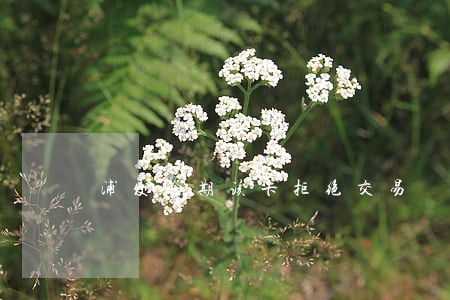 浦发逾期该卡拒绝交易 浦发逾期该卡拒绝交易