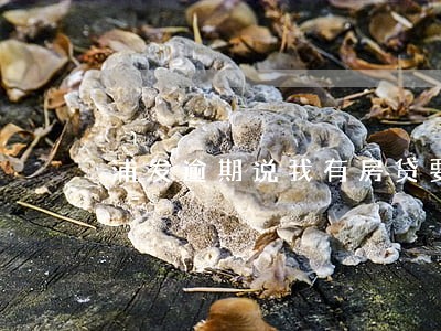 浦发逾期说我有房贷要查封 浦发逾期说我有房贷要查封