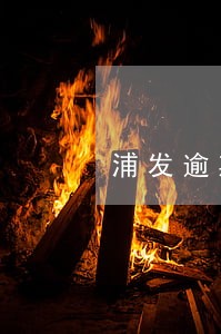 浦发逾期说立案了 浦发逾期说立案了