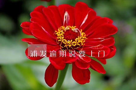 浦发逾期说要上门 浦发逾期说要上门
