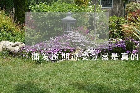 浦发逾期说要立案是真的吗上海 浦发逾期说要立案是真的吗上海