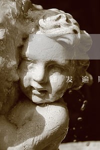 浦发逾期说走流程提交花旗 浦发逾期说走流程提交花旗