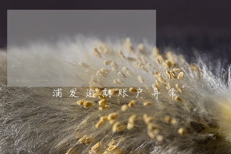 浦发逾期账户异常 浦发逾期账户异常