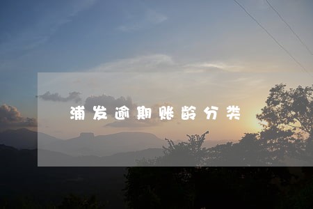 浦发逾期账龄分类 浦发逾期账龄分类
