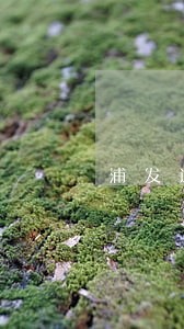 浦发逾期贷款罚息 浦发逾期贷款罚息