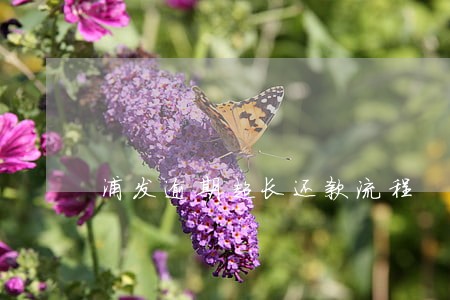 浦发逾期超长还款流程 浦发逾期超长还款流程