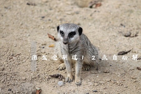 浦发逾期过12点自动解冻信用卡