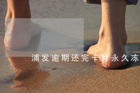 浦发逾期还完卡片永久冻结