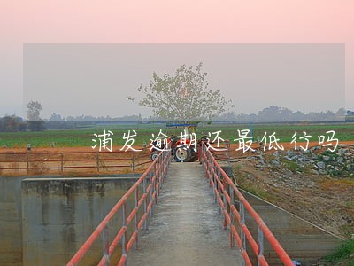浦发逾期还最低行吗