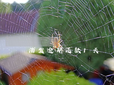 浦发逾期还款1天