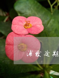 浦发逾期还款以后没降额度