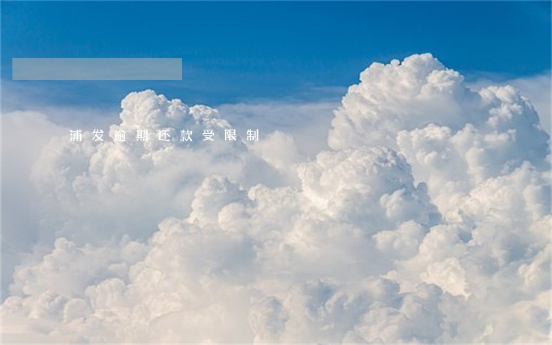 浦发逾期还款受限制 浦发逾期还款受限制