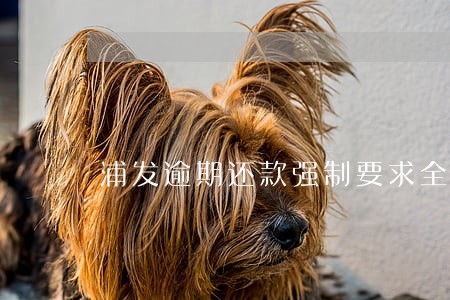 浦发逾期还款强制要求全款 浦发逾期还款强制要求全款