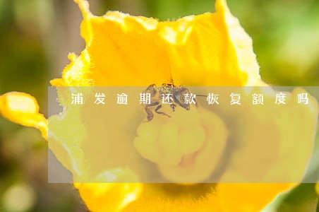 浦发逾期还款恢复额度吗 浦发逾期还款恢复额度吗