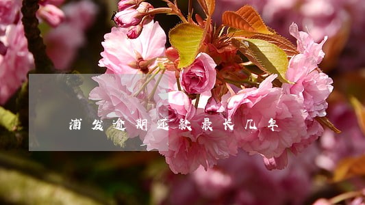 浦发逾期还款最长几年 浦发逾期还款最长几年