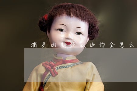 浦发逾期还款违约金怎么要回 浦发逾期还款违约金怎么要回